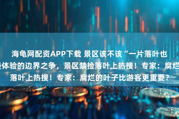海龟网配资APP下载 景区该不该“一片落叶也不让捡”：环保与浪漫体验的边界之争，景区禁捡落叶上热搜！专家：腐烂的叶子比游客更重要？