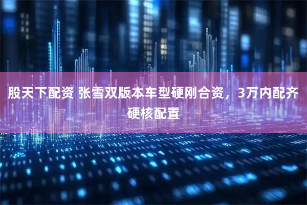 股天下配资 张雪双版本车型硬刚合资，3万内配齐硬核配置